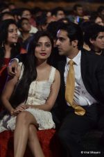 at ITA Awards red carpet in Mumbai on 4th Nov 2012 (90).JPG